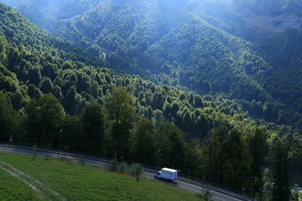 Camion Sur Route Dans Forêt Sotchi Fédération Russie — Photo