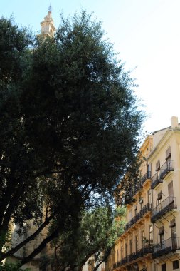 Valencia, İspanya 'daki güzel eski binalar. İlginç mimari detaylar. Siesta. Kimse yok..