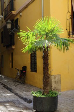 Valencia, İspanya 'daki güzel eski binalar. İlginç mimari detaylar. Siesta. Kimse yok..