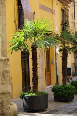 Valencia, İspanya 'daki güzel eski binalar. İlginç mimari detaylar. Siesta. Kimse yok..