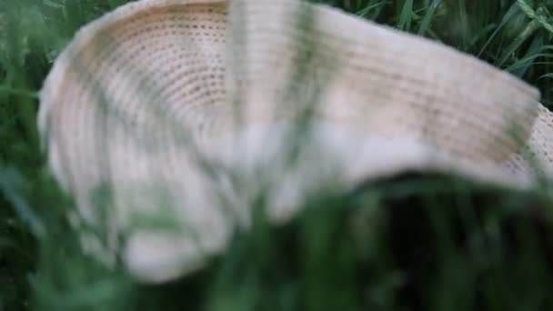 Courtes Images Chapeau Paille Dans Herbe Verte Été Concentration Choisie — Video