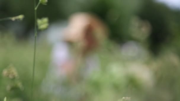 夏には緑の草の中に藁帽子をかぶった美しい白人の女の子 選択したフォーカス 背景をぼかす ぼっけ — ストック動画