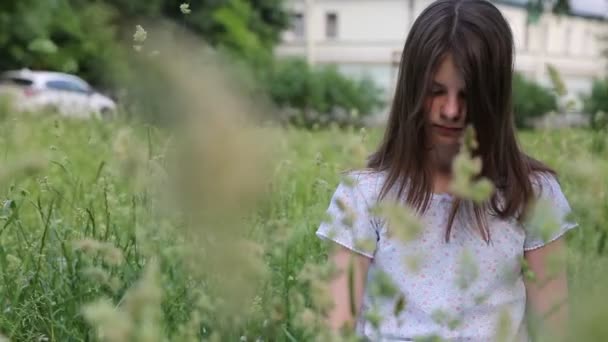 Belle Fille Caucasienne Dans Herbe Verte Été Concentration Choisie Fond — Video