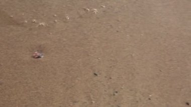 Sahile vuran deniz dalgalarını kapatın.