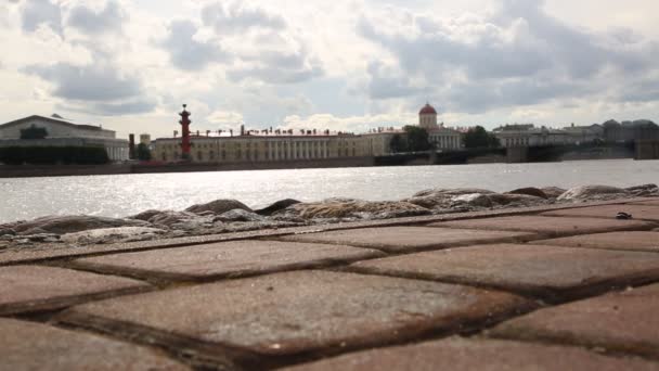 Pejzaż Miejski Rzeka Newa Petersburg Rosja — Wideo stockowe
