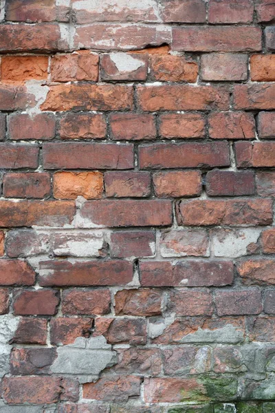 Real Old Brick Wall Textured Background — Stock Photo, Image