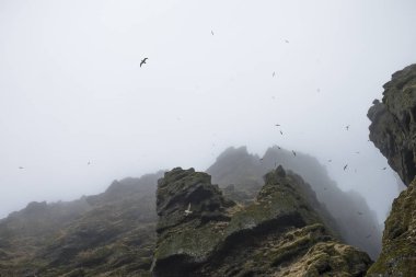 İzlanda'daki Raudfeldar Kanyon