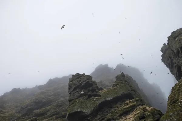İzlanda'daki Raudfeldar Kanyon