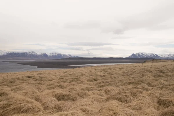 Gras Tundra Landschaft Island — Stockfoto