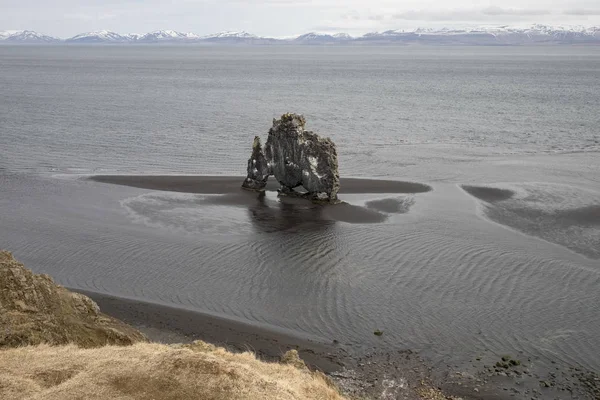 Hvitserkur - düşük deniz sırasında İzlanda'dinozor kaya