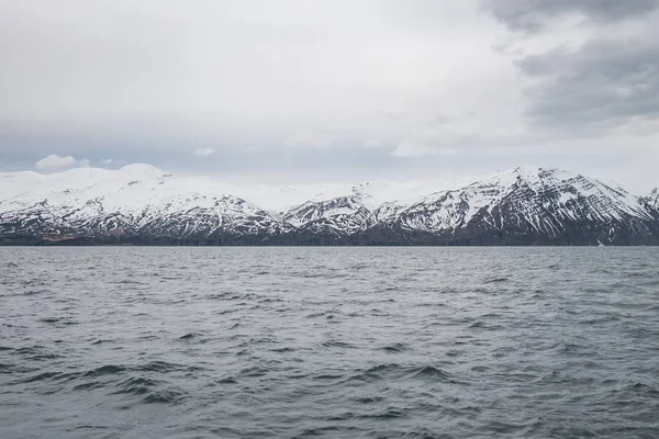 İzlanda'daki arka planda dağlar deniz manzaralı