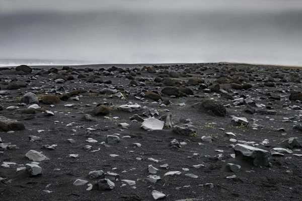 Siyah kum plaj İzlanda'daki Reynisfjara