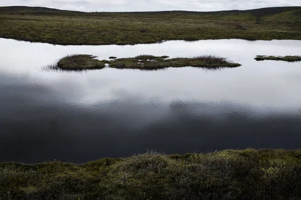 Küçük bir göl ve çim ile İzlanda manzara