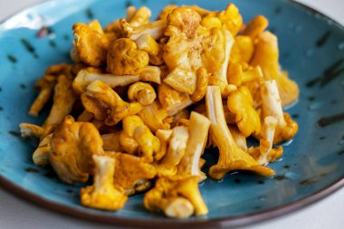 Taze yıkanmış ve Cantharellus cibarius mavi kase closeup temizledim