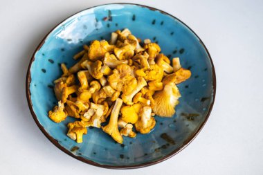 Taze yıkanmış ve beyaz masa üzerinde mavi bir kasede Cantharellus cibarius temizledim