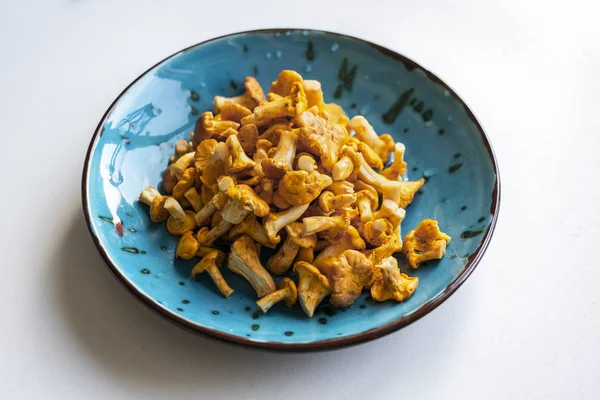 Taze yıkanmış ve beyaz masa üzerinde mavi bir kasede Cantharellus cibarius temizledim