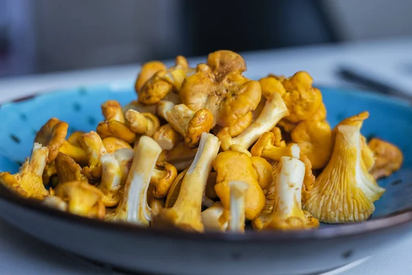 Taze yıkanmış ve Cantharellus cibarius mavi kase closeup temizledim