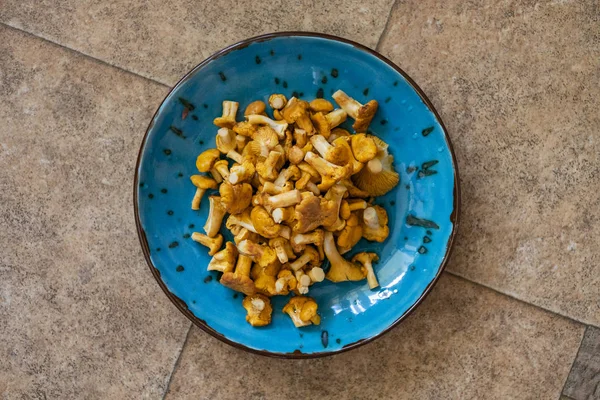 Taze yıkanmış ve mavi bir kasede Cantharellus cibarius kiremitli yere temizledim