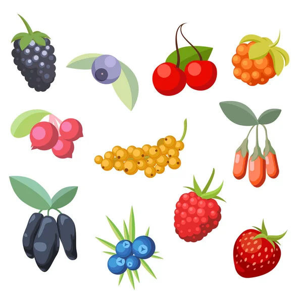 Készlet különböző stilizált érett friss bogyók. Berry kollekció. Vektoros illusztráció — Stock Vector