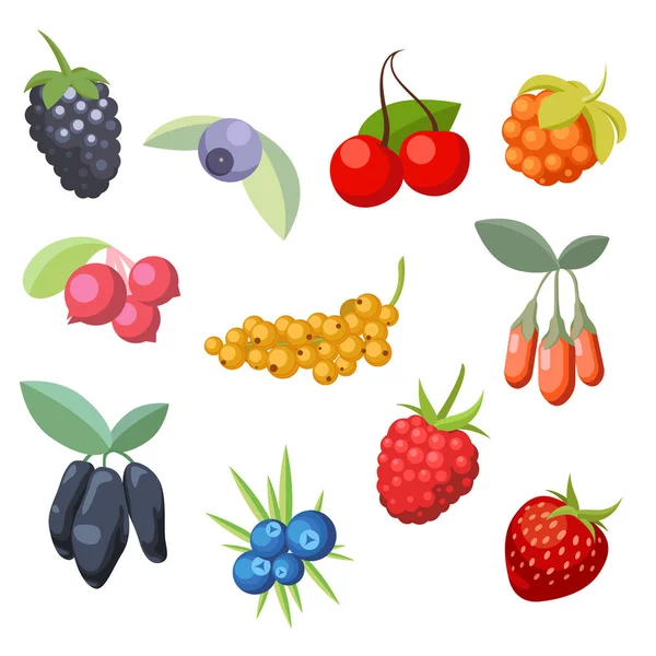 Set aus verschiedenen stilisierten reifen frischen Beeren. Beerensammlung. Vektorillustration — Stockvektor