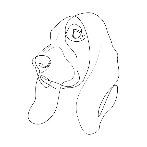Linha contínua Basset Hound. Ilustração de vetor de cão de estilo mínimo de linha única. Retrato —  Vetores de Stock