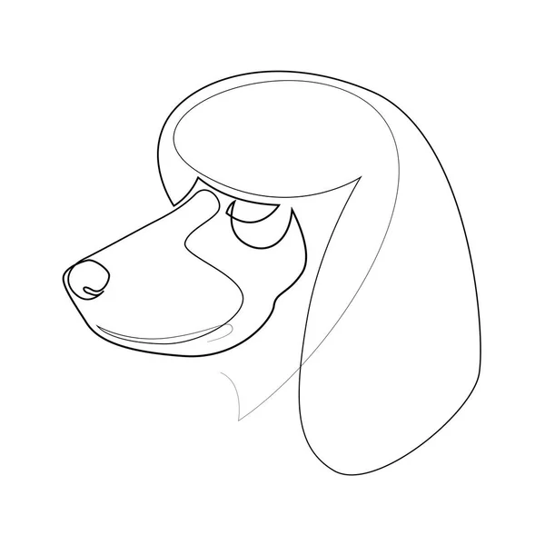 Linha contínua Poodle. Ilustração de vetor de cão de estilo mínimo de linha única. Retrato —  Vetores de Stock