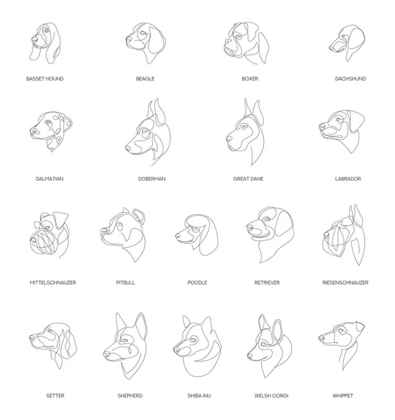 Breeds of dogs drawn in minimal style set. One line dogs. Vector illustration. — Stock Vector