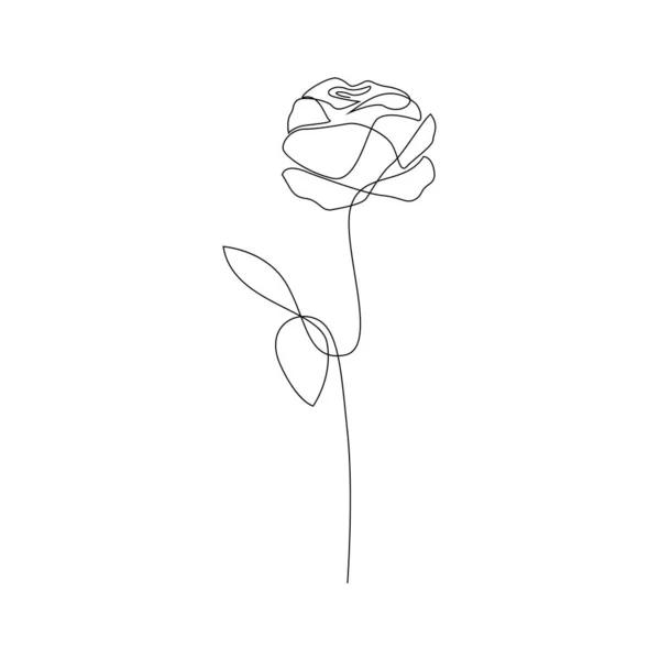 Одна нарисованная вручную роза. Длинная роза. Цветок одной линии. Векторная иллюстрация — стоковый вектор