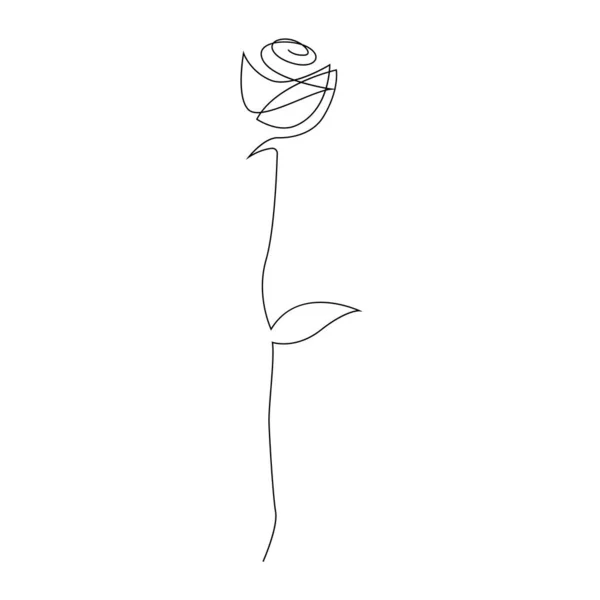 Rosa dibujada a mano de una línea. Rosa de tallo largo. Flor de una línea. Ilustración vectorial — Vector de stock