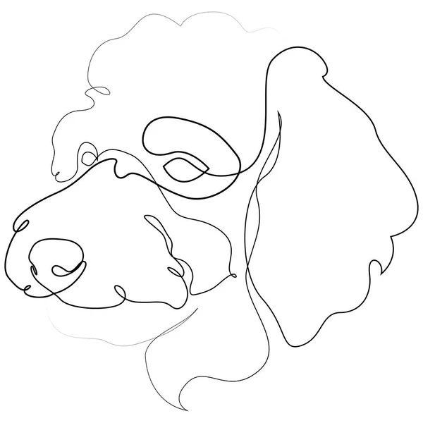 Poedel vector Hond portret. Doorlopende lijn. Hondenlijn tekening — Stockvector