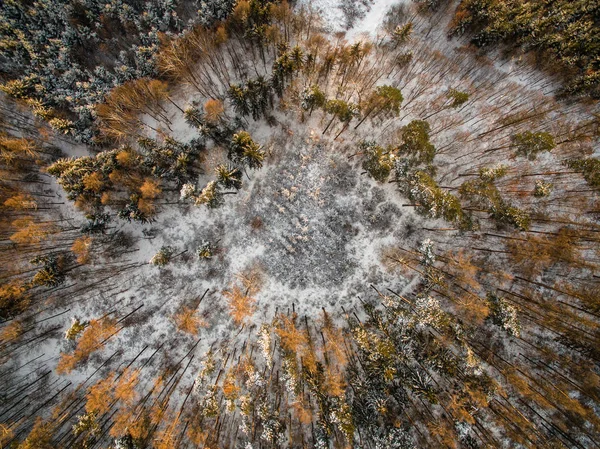 冬季森林的树木被雪覆盖着的鸟瞰图 — 图库照片