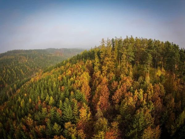 Herfst Bos Luchtfoto Uitzicht — Stockfoto