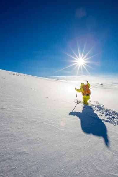 Hooggelegen Berg Explorer Wandelend Door Diepe Sneeuw Hooggebergte Een Ijskoude — Stockfoto