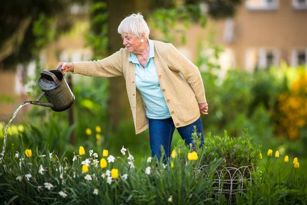 Bahçede Çiçekli Yaşlı Bir Kadın — Stok fotoğraf