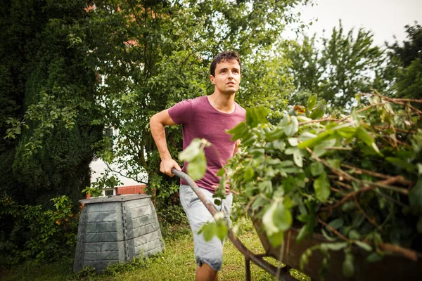Pohledný Mladý Muž Zahradnictví Své Zahradě — Stock fotografie