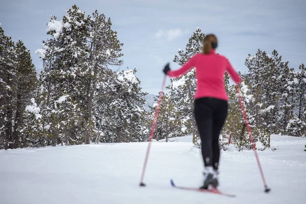 Ski Fond Une Jeune Femme Skie Fond Par Une Journée — Photo