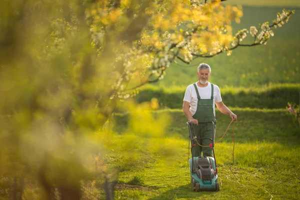 Kıdemli Bir Adamın Portresi Güzel Bahçesiyle Ilgilenmesi Emekli Olmasına Yardımcı — Stok fotoğraf