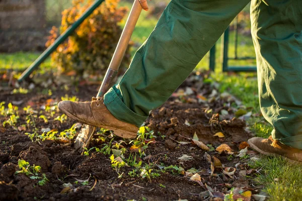 Jardinagem Homem Cavando Solo Jardim Com Pudim Dof Raso Foco — Fotografia de Stock