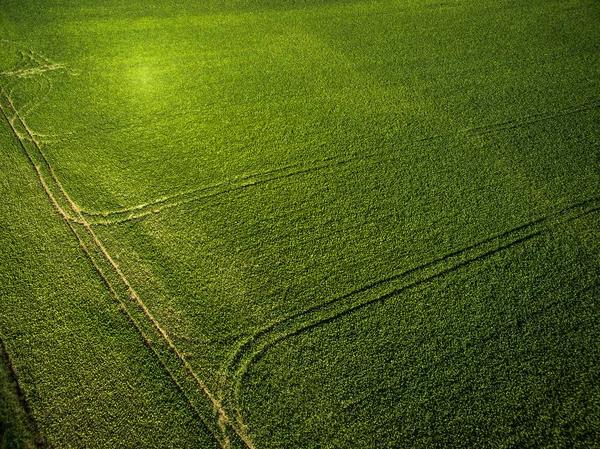 Ackerland Von Oben Luftbild Eines Üppigen Grüns — Stockfoto
