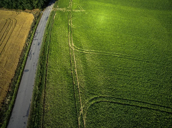 Terras Agrícolas Cima Imagem Aérea Verde Exuberante Arquivado — Fotografia de Stock