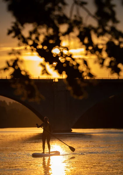 Sup站起来划桨板的概念 美丽的年轻女子划桨板在一个可爱的湖上温暖的午后微光 从水下拍摄 — 图库照片