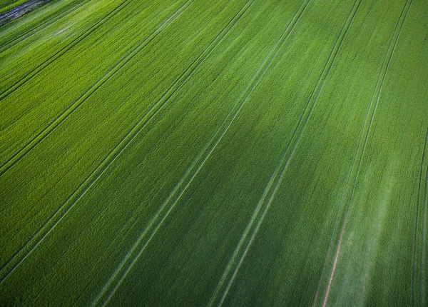 从航空影像的一片葱绿提起农田 — 图库照片
