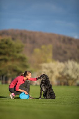 Onun siyah köpek frizbi - sığ Dof, keskin odak oynayan bir park açık, ile genç kadın