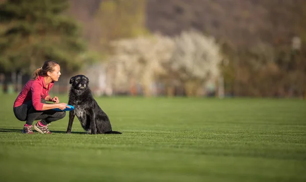 年轻女子带着她的黑狗在户外玩耍 在公园里玩飞盘 浅薄的 Dof 锐利的焦点 — 图库照片