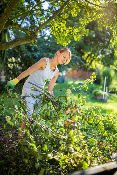 Bella Giovane Donna Giardinaggio Nel Suo Giardino Tagliare Rami Preparare — Foto Stock