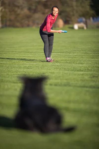 Retrato Cão Preto Correndo Rápido Livre Jogando Com Frisbee Dof — Fotografia de Stock