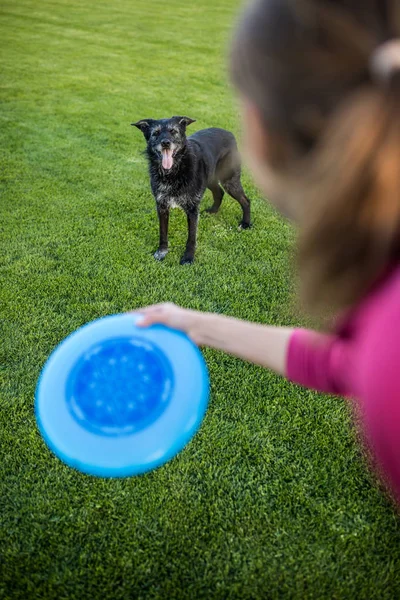 Jonge Vrouw Freisbee Aan Haar Zwarte Hond Openlucht Ondiepe Dof — Stockfoto