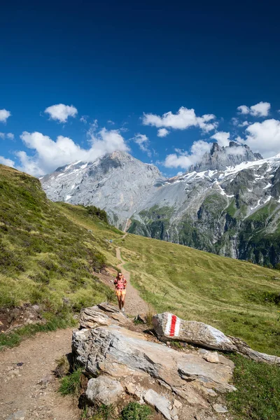 Красуня Самотня Мандрівниця Гарному Альпійському Середовищі Швейцарських Альп — стокове фото