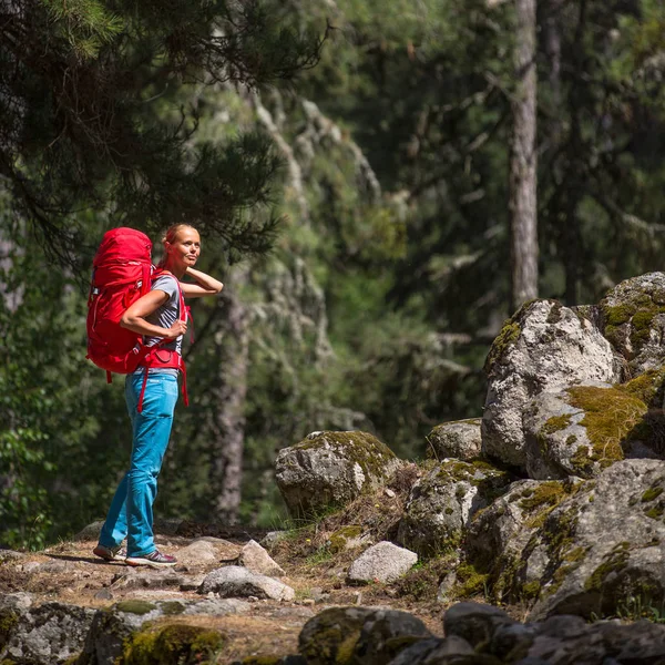 Bonita Jovem Caminhante Caminhando Por Uma Esplêndida Floresta Pinheiros Dof — Fotografia de Stock