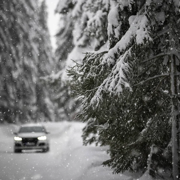 Αυτοκίνητο Ένα Χιονισμένο Χειμερινό Δρόμο Ανάμεσα Στα Δάση Χρησιμοποιώντας Τέσσερις — Φωτογραφία Αρχείου